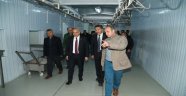 Kabadüz'de modern mezbahane yapılıyor