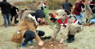 Sevgi Evlerinde kalan çocuklar fidan dikti