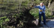 Ordu ve Giresun'da şiddetli rüzgar