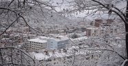 Karadeniz'de soğuk hava ve kar, yaşamı olumsuz etkiliyor