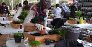 Peyzaj mimarlarına yeni iş alanları