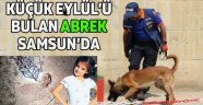 Eylül'ü bulan "ABREK" Evrim Atış'ı arama çalışmalarına katıldı