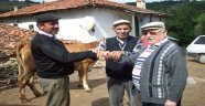 Samsun'da kurbanlık fiyatları arttı