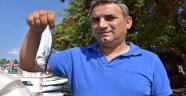 Sezonun ilk palamutları ağlara takılmaya başladı