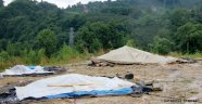 Ordu'da Sel' in bilançocu: Bin 100 ton fındık zarar gördü