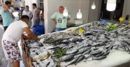 Balıkçıların yüzünü tatilciler güldürdü