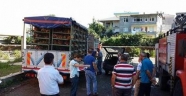 Artvin'de çiftçilere tavuk dağıtıldı