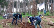 Atatürk Köşkü Ormanı'na yeni fidanlar dikildi