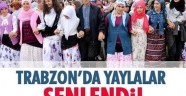 Bin 800 rakımlı yaylada horon keyfi