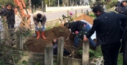 Düzce'de mezarların taşınması tartışması