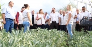 Düzce'de tıbbi ve aromatik bitkilerin ilk hasadı yapıldı