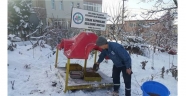 Ereğli'de sokak hayvanları için yem bırakıldı