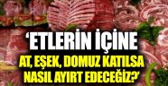 Etlerin içine at, eşek, domuz katılsa nasıl ayıt edeceğiz?
