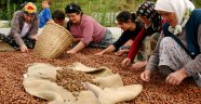 FINDIK FİYATLARI ÜRETİCİYİ MAĞDUR ETMEYECEK ŞEKİLDE BELİRLENMELİ