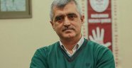 Gergerlioğlu HDP'den vekil seçildi