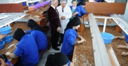 Gölköy ilçesinde bulunan Fındık Fabrikasında fındık alımları başlamıştır