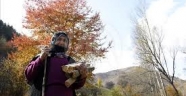 Görsel şölen sunan doğada kış hazırlığı sürüyor