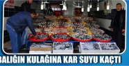 Hamsinin kulağına kar suyu kaçtı