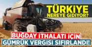 Hububat ithalatında gümrük vergisi sıfırlandı