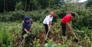 Karadeniz Kadını İki Kat Fazla Çalışıyor