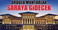  ORDULU MUHTARLAR CUMHURBAŞKANI SARAYINA GİDİYORLAR.