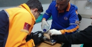 Parmağa sıkışan yüzüğü AFAD ekipleri çıkardı