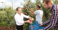 Rektör Yarılgaç, elma hasatına katıldı