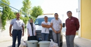 Sokak hayvanları için yemek masalarından "kürdan" kaldırıldı