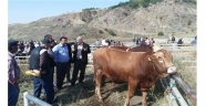 Suluova'ya canlı hayvan pazarı ve arıtma tesisi yapılacak