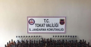 Tokat'ta kaçak içki operasyonu