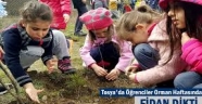 Tosya'da öğrenciler fidan dikti
