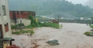 Trabzon'daki şiddetli sağanak