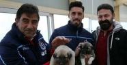 Ünal Karaman ile Sosa'dan kangal köpeği çiftliğine ziyaret