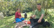 Üretici, fındık fiyatlarının yükselmesini bekliyor
