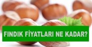 Üreticiler fındık fiyatının açıklanmamasından endişeli