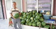 Vezirköprü'nün yerli karpuzu tezgahta