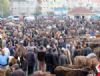 Türkiyenin en büyük canlı hayvan pazarında hareketlilik