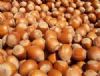 Oltan Gıda, İtalyan Ferrero'ya satıldı.