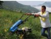 Orduda Bin 460 Üretici Makine-ekipman Alacak