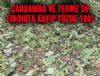 Çarşamba ve Terme'de Fındıkta Kayıp Yüzde 100