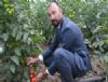 En büyük sera Tosköy'de kuruldu