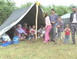 Bu Yıl Fındık İşcilerinin Gelmesine Gerek Kalmadı