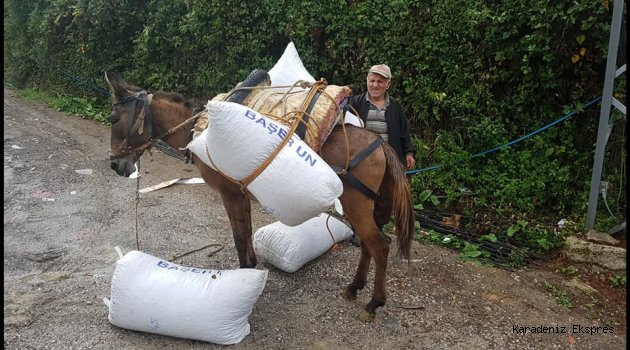 TMO'dan fındık açıklaması!