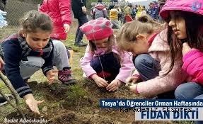 Tosya'da öğrenciler fidan dikti
