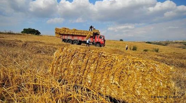 Türkiye beş yıl sonra saman ithal ediyor