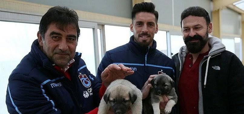 Ünal Karaman ile Sosa'dan kangal köpeği çiftliğine ziyaret