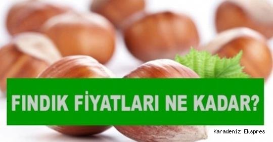 Üreticiler fındık fiyatının açıklanmamasından endişeli