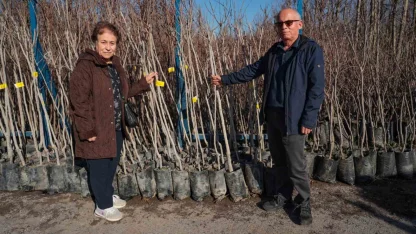 75 üreticiye 3 bin 600 fidan