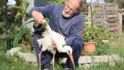 Annesinin yuvadan attığı leyleğe, mahalleli anne ve baba oldu
