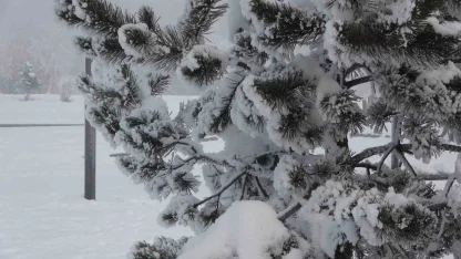 Ardahan’da dondurucu soğuklar etkisini artırdı: Ağaçlar kırağı tuttu